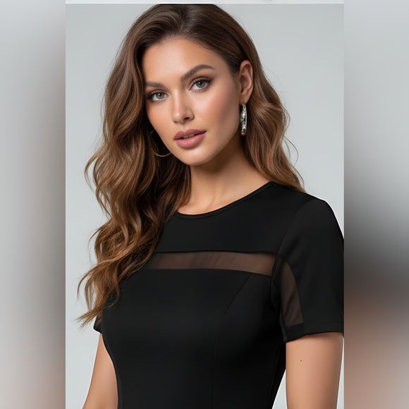 Black Contrast Mesh A-line Dress - Picture 3 of 6